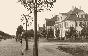 Senftenberg
